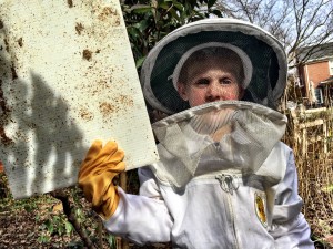 Never too Young or Late to Begin Bee Keeping